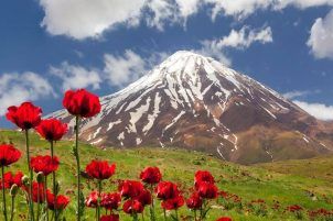 پارک ملی لار