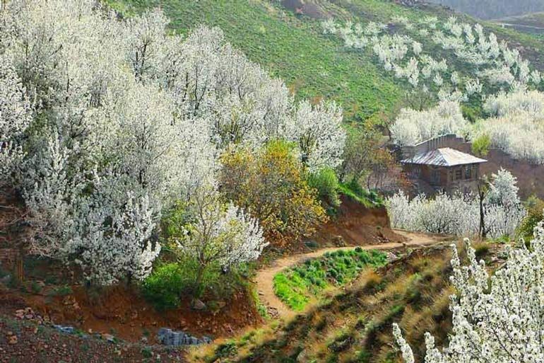 سنگان