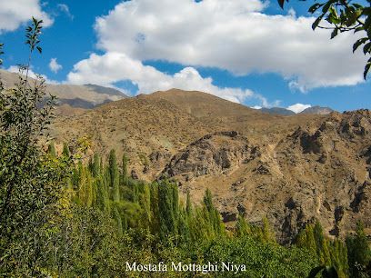 روستای کلها