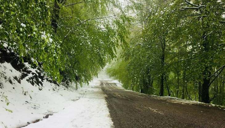 پارک جنگلی بلوردکان