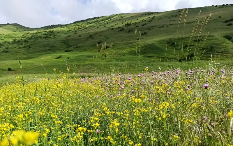 روستای خان کندی