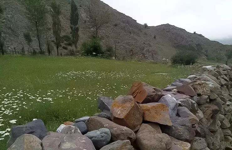 تصویر 2