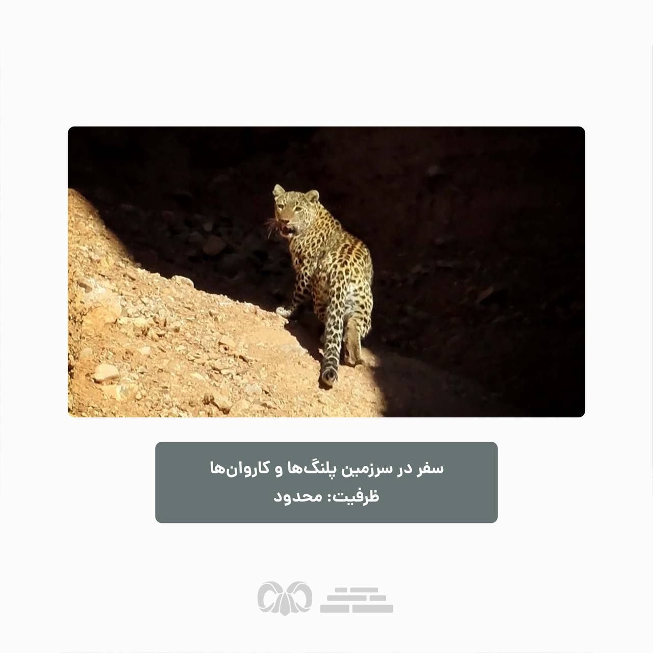 تصویر تور