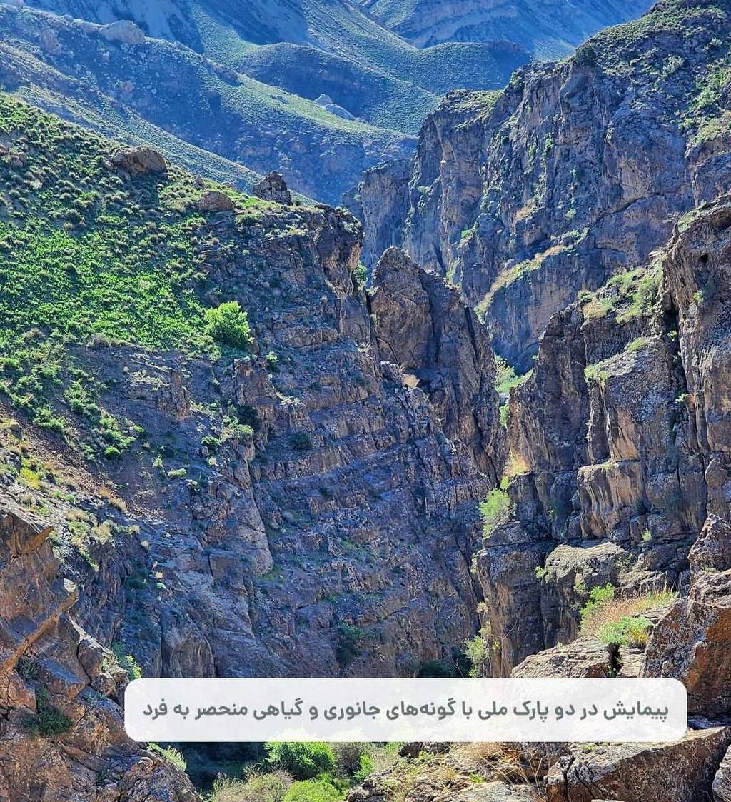 تصویر 3