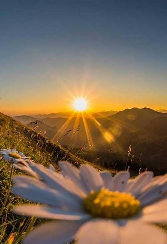 تصویر تور