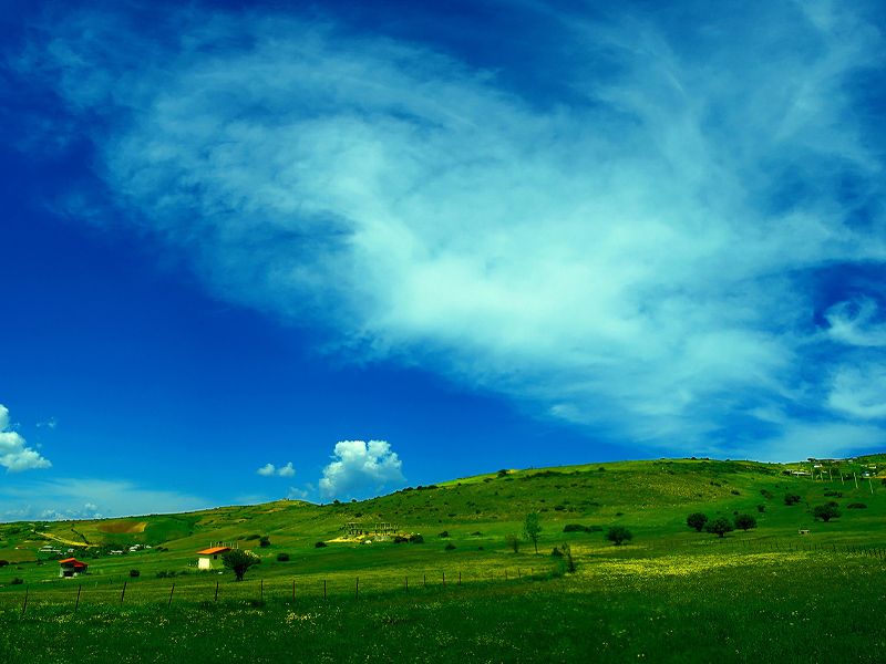 تصویر تور