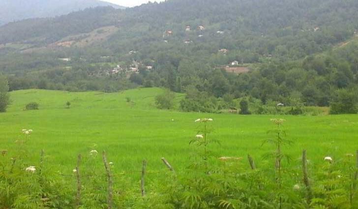 تصویر تور