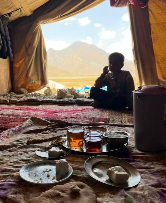 تصویر تور