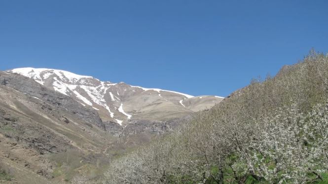 ارتفاعات پهنه حصار روستای وردیج
