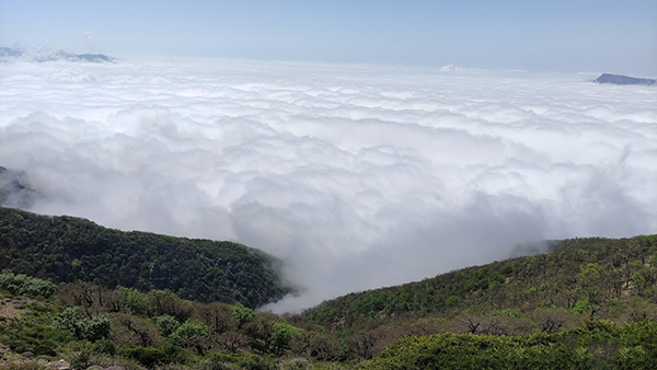 جنگل ابر زیبا- مازندران