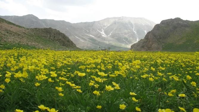 سفر به دشت لار بهشت طبیعتگردان- تیمار تراول